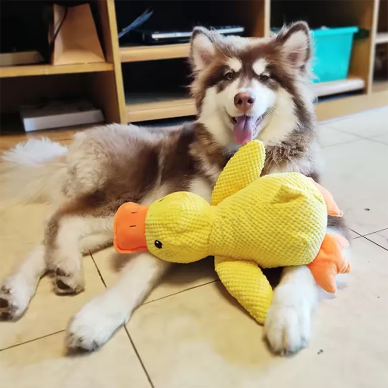 The Quack Attack — Teeth Cleaning Chew Toy