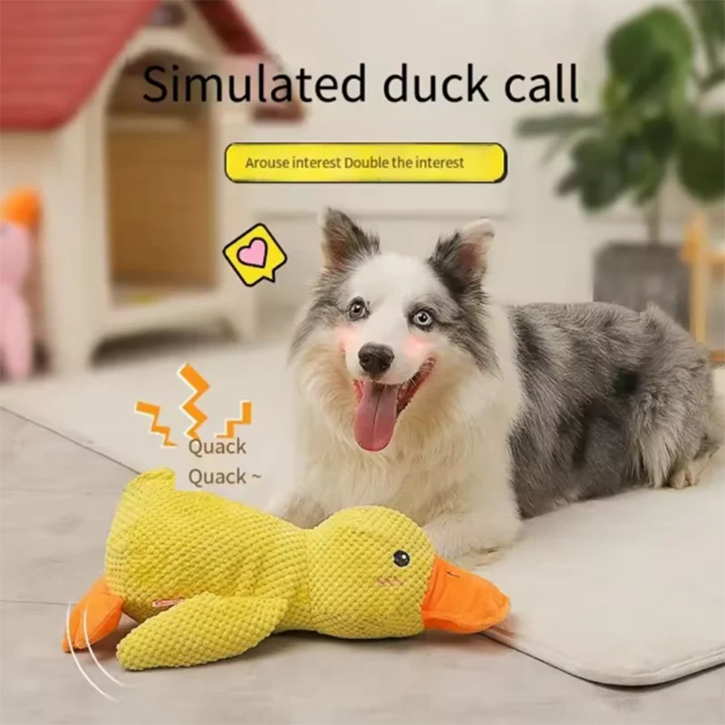 The Quack Attack — Teeth Cleaning Chew Toy