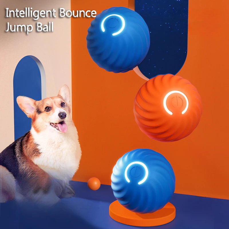 The Bounce & Chase Ball
