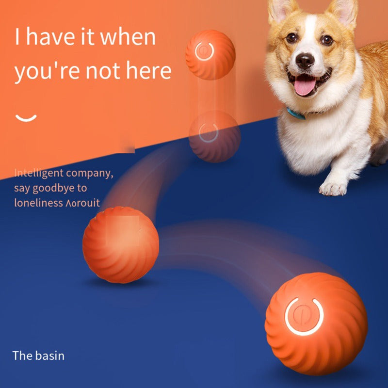 The Bounce & Chase Ball