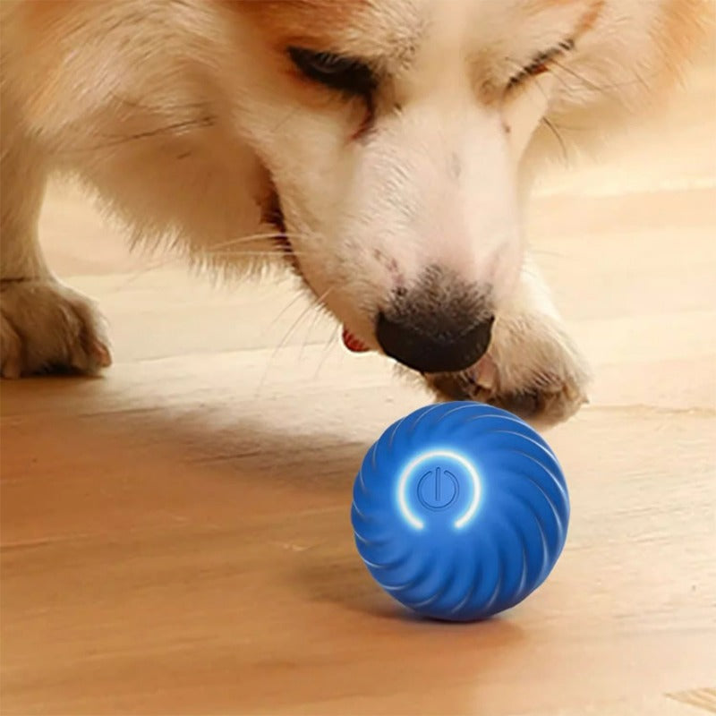 The Bounce & Chase Ball