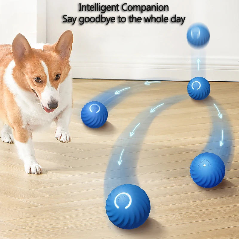 The Bounce & Chase Ball