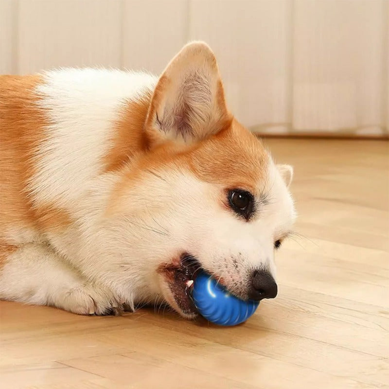 The Bounce & Chase Ball