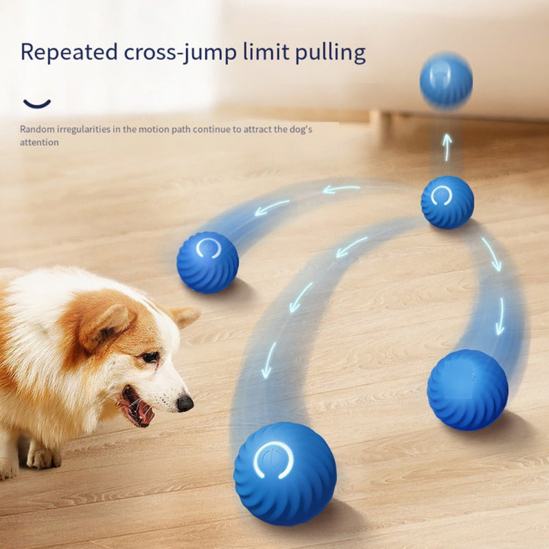 The Bounce & Chase Ball