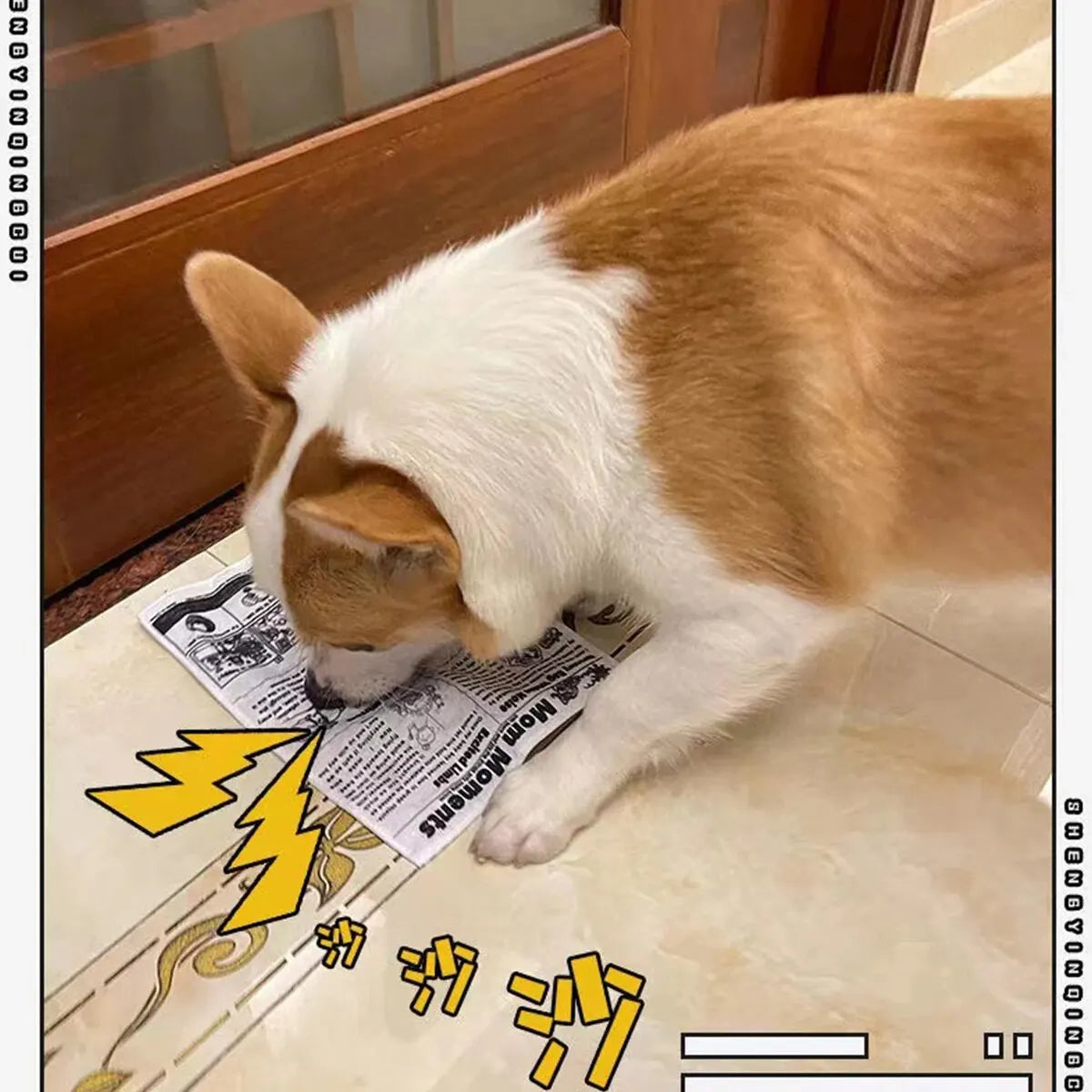 The Crinkle Read