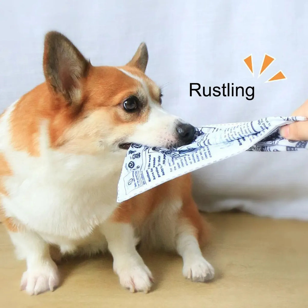 The Crinkle Read