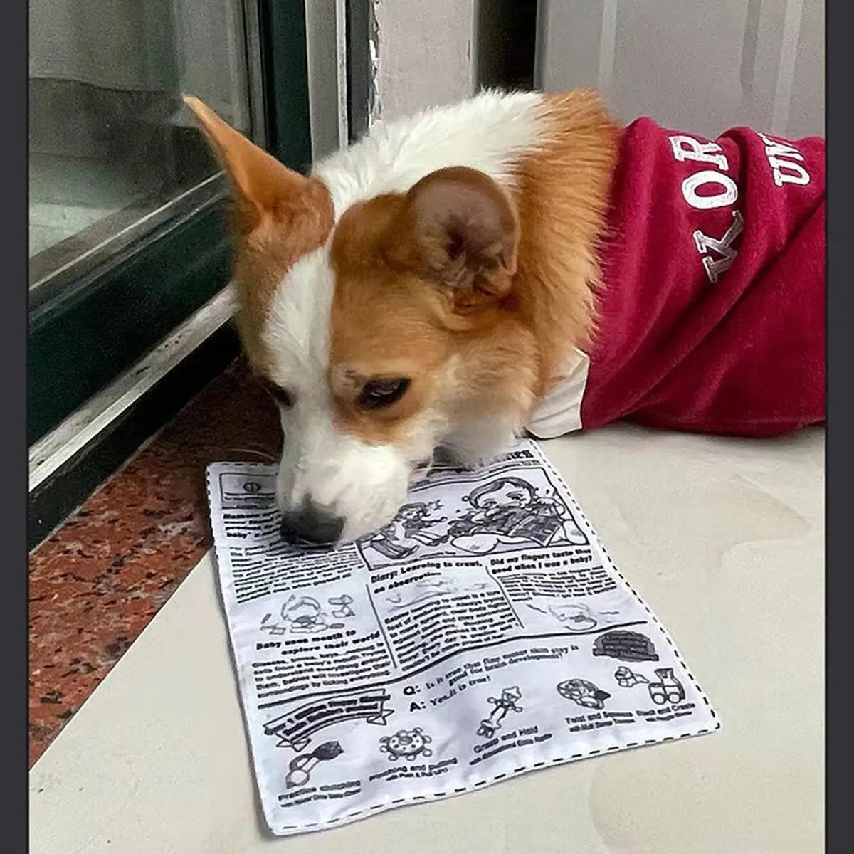 The Crinkle Read