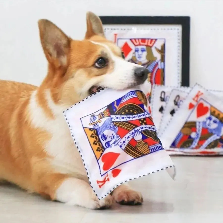 The Crinkle Read